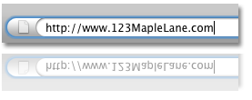 Website Address in Bar