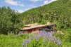 For Sale: 2000 MIDNIGHT MINE ROAD Aspen CO  81611
